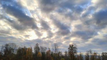 253034805 10216027972770816 1738790100118100889 N