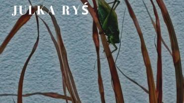 254424584 10216056505404114 8056708789104341748 N