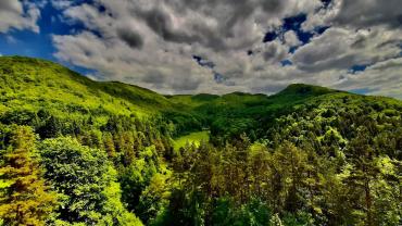 255539697 10216081384466075 7390826219549128628 N