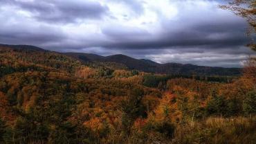 258390164 10216089462108011 4947267251673672308 N