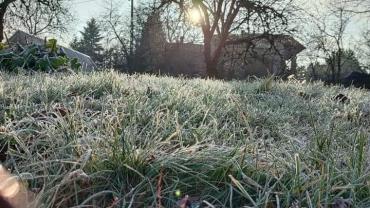 258544992 10216092881913504 2633127697732648874 N