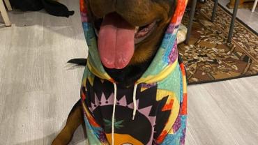 258616007 10216094359230436 1861435133091689962 N