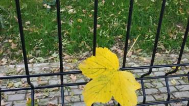 244610268 10215912662008119 6996188925180590699 N