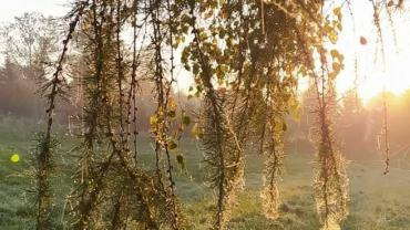 245404340 4680840615287374 5507956655293421958 N