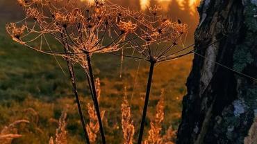 245953074 4680840401954062 267216026116662712 N