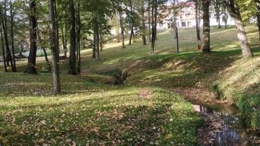 246210253 4681601701877932 3326261723374192493 N