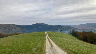 247176147 4704764619561640 2743167737535600226 N