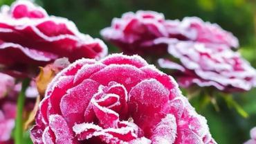 248362159 4701268953244540 5878641994746590495 N