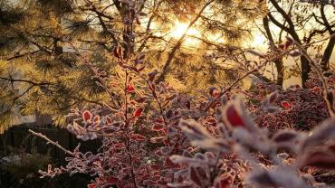 248535407 4708225929215509 2438486244956669230 N