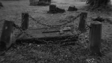 250356950 4728472310524204 6622946780083986563 N