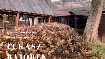 257373583 10216070201946519 5879911784090056088 N