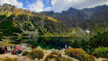 243153104 4615051441866292 8786331444589954546 N