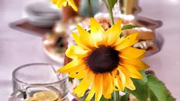 243497217 4631235213581248 1626261567295663358 N