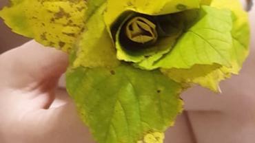 1. Warsztaty.forma Przestrzenna Jako Rodek Przekazu Pazdziernik 2021