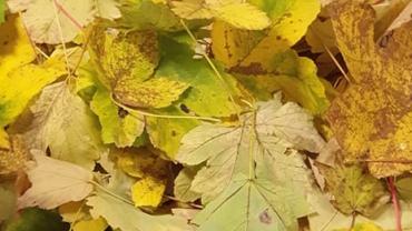 14.warsztatyforma Przestrzenna Jak Rodek Przekazupazdziernik 2021