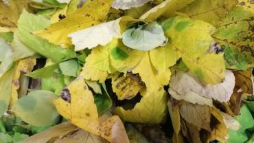 19.warsztatyforma Przestrzenna Jako Rodek Przekazupazdziernik 2021