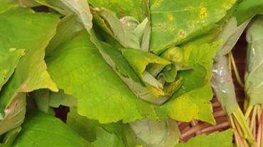 2. Warsztatyforma Przestrzenna Jako Rodek Przekazupazdziernik 2021