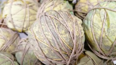 24. Warsztatyforma Przestrzenna Jakorodek Przekazupazdziernik 2021