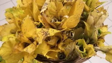 3.warsztatyforma Przestrzenna Jako Rodek Przekazupzdziernik 2021