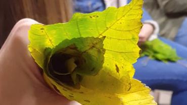 5.warsztaty Forma Przestrzenna Jako Rodek Przekazupazdziernik 2021