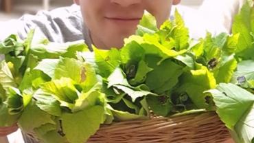 8. Warsztatyforma Przestrzenna Jako Rodek Przekazupazdziernik 2021