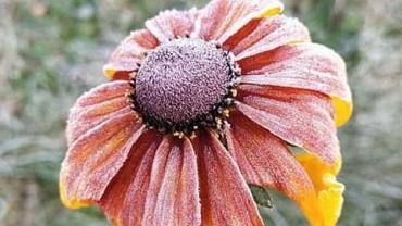 252279656 10216031851267776 4621405306607378541 N