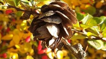 253337405 4748837778487657 770629037930094303 N