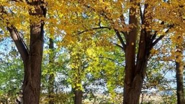 253418154 4748837488487686 7639487766597798658 N