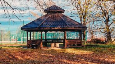 253509106 4748835011821267 1510052228843110556 N