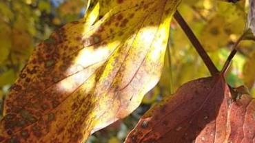 253684080 4748837865154315 7955851143619664181 N