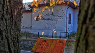 253871057 4748835371821231 3026017338173514236 N