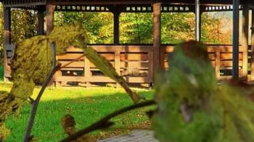 253970948 4748837371821031 1477142854031757217 N