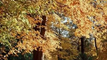 254267289 4748837658487669 4807329121835334556 N