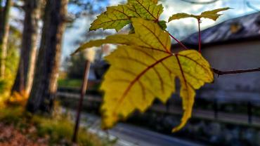 254292789 4748836925154409 1007770063914139267 N