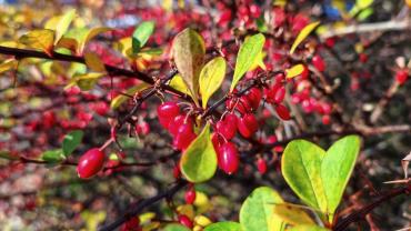 254294358 4748836558487779 3236282300753407442 N