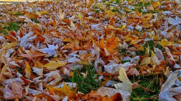 254590569 4748835778487857 6140560137824970785 N