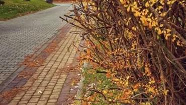 254647649 4748838011820967 3188549741339771131 N