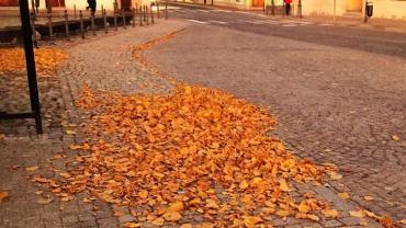 253880475 10216049808036684 7316210468417354207 N