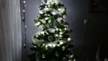 269770872 4906534266051340 1711864563901583725 N