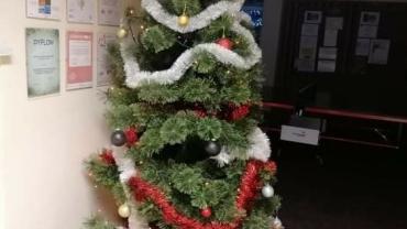 269771067 4906533739384726 6605767899571207157 N