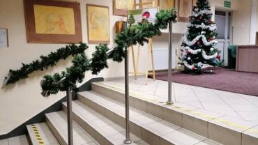 269771185 4906534352717998 7474009691448029762 N