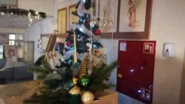 269771187 4906533589384741 5809532822034600005 N