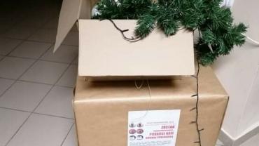 269778901 4906532489384851 5717785558597199798 N