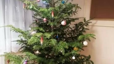 269783748 4906531966051570 4844883317478785928 N