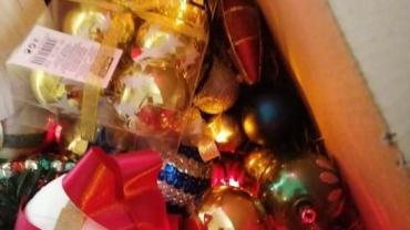 269820588 4906532189384881 5999453416458444891 N