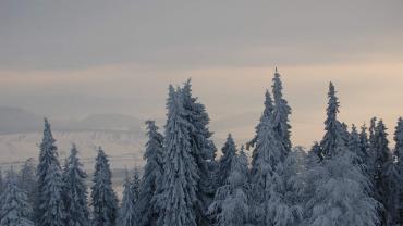 271948997 4999050296799736 4381456188029142250 N