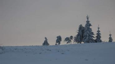 271973187 4999050993466333 4655995065811870123 N