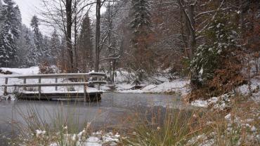 271997509 4999051226799643 3295092517046265622 N