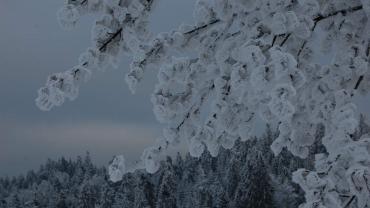 272017506 4999051106799655 5917292472830656437 N