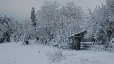 272044073 4999050903466342 4031816676867535 N